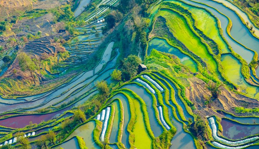 宝妈必备神器：长白产品视频拍摄轻松育儿好帮手