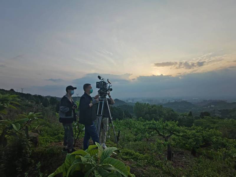 创意破圈！长白电商产品宣传视频用故事化叙事引爆流量