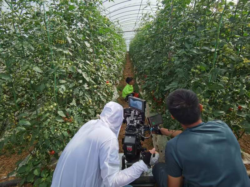 长白产品宣传视频拍摄公司进阶指南，助力品牌抢占传播高地